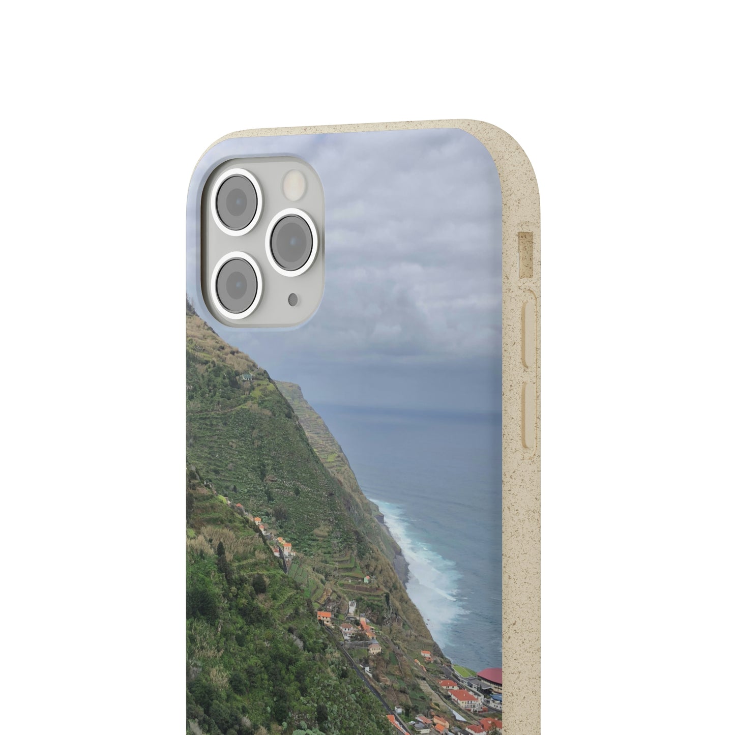 Bio-Cases, Atlantic Ocean Coast