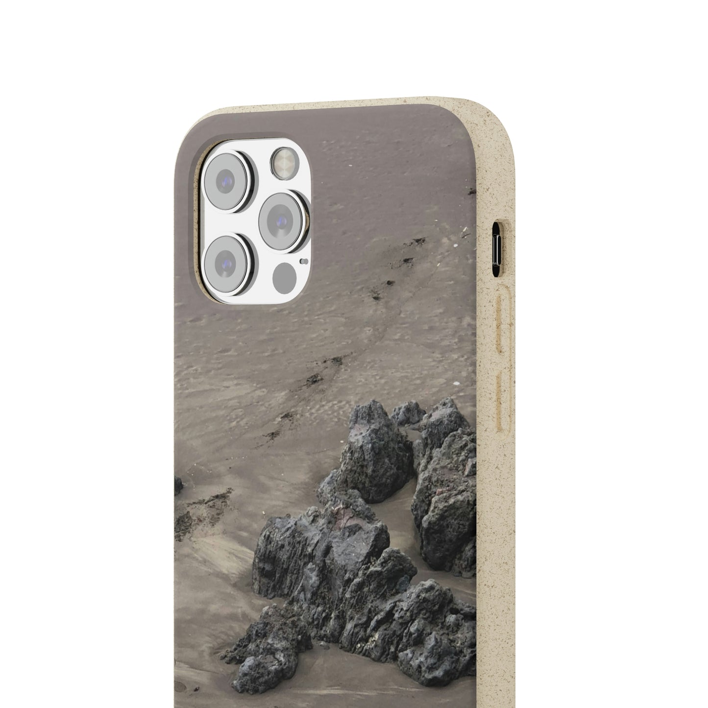 Bio-Cases, Beach Tracks