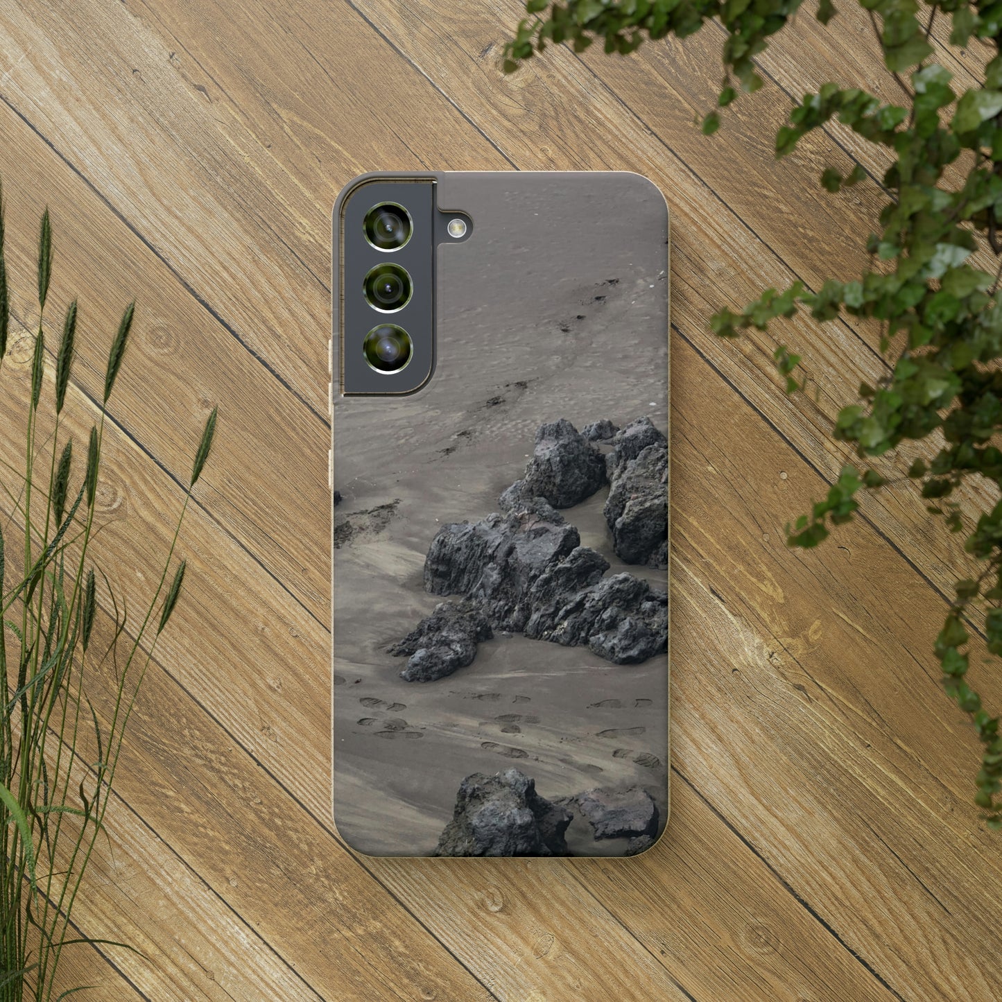 Bio-Cases, Beach Tracks