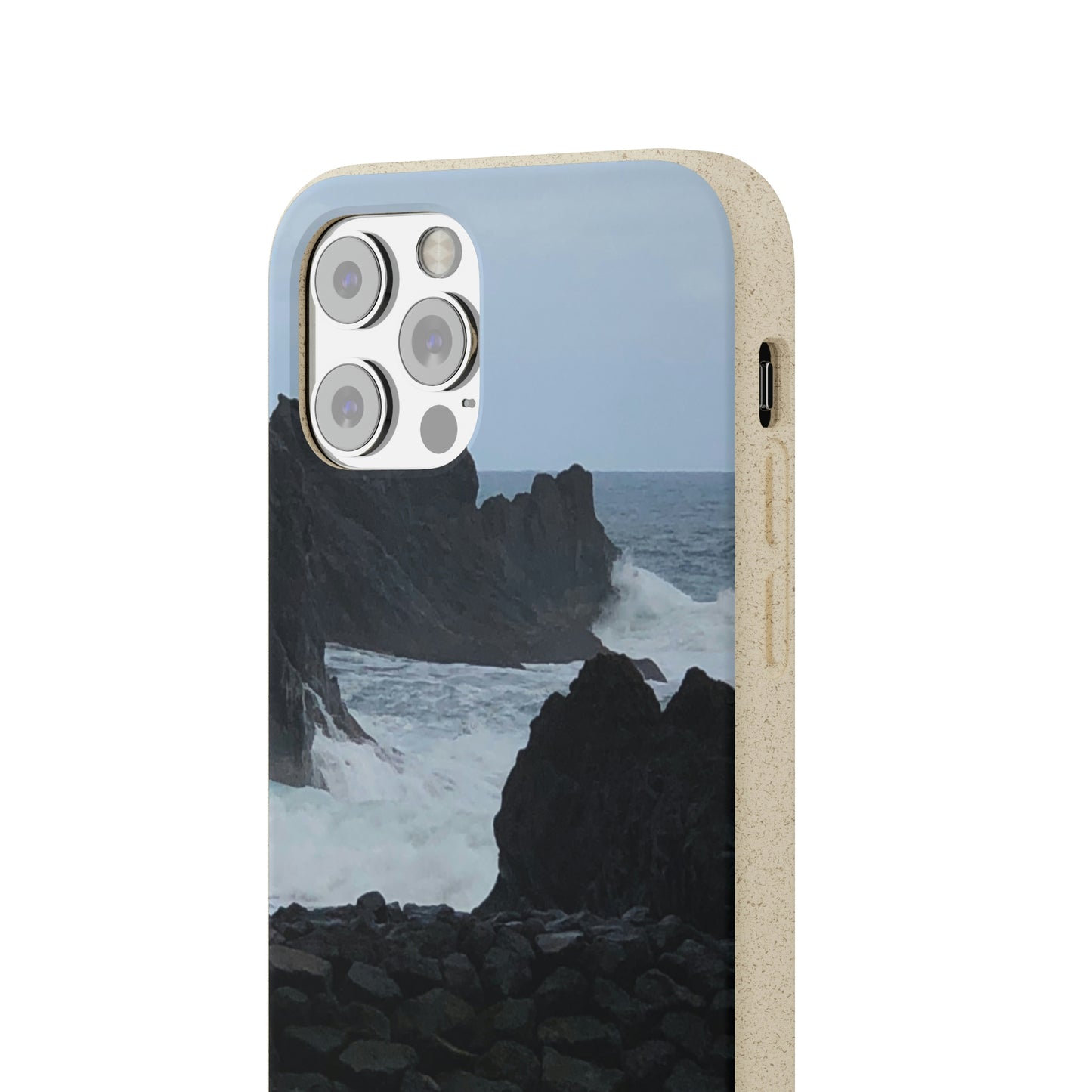 Bio-Cases, Atlantic Ocean