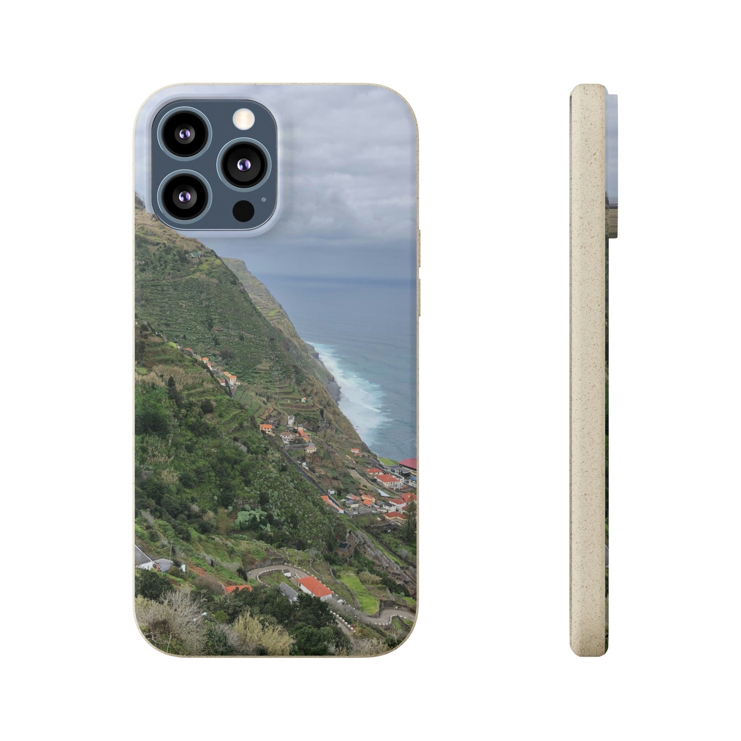 Bio-Cases, Atlantic Ocean Coast