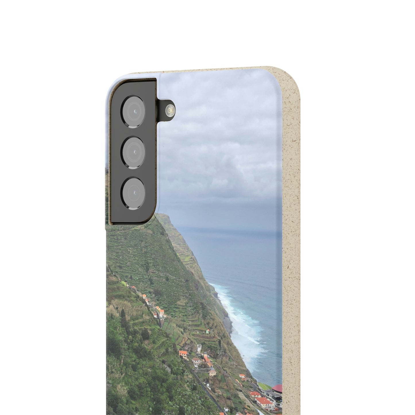 Bio-Cases, Atlantic Ocean Coast
