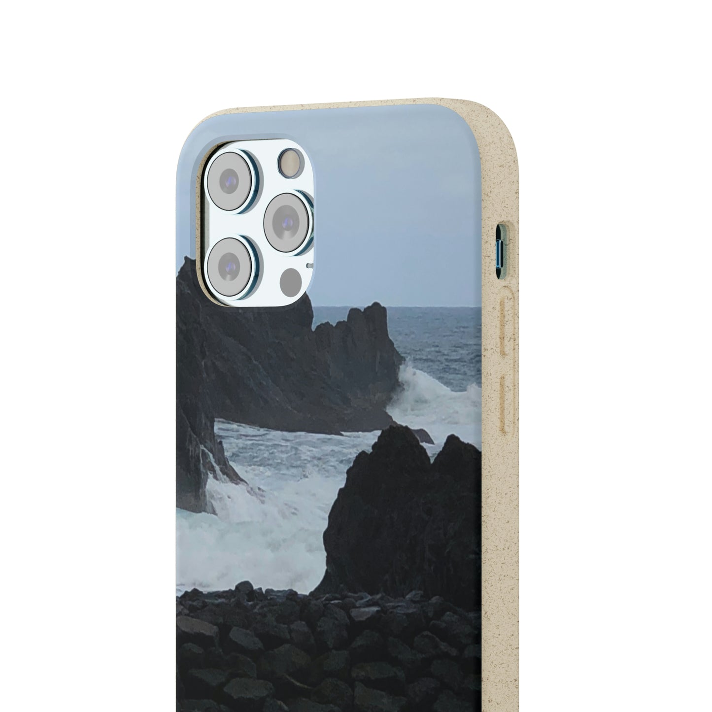Bio-Cases, Atlantic Ocean