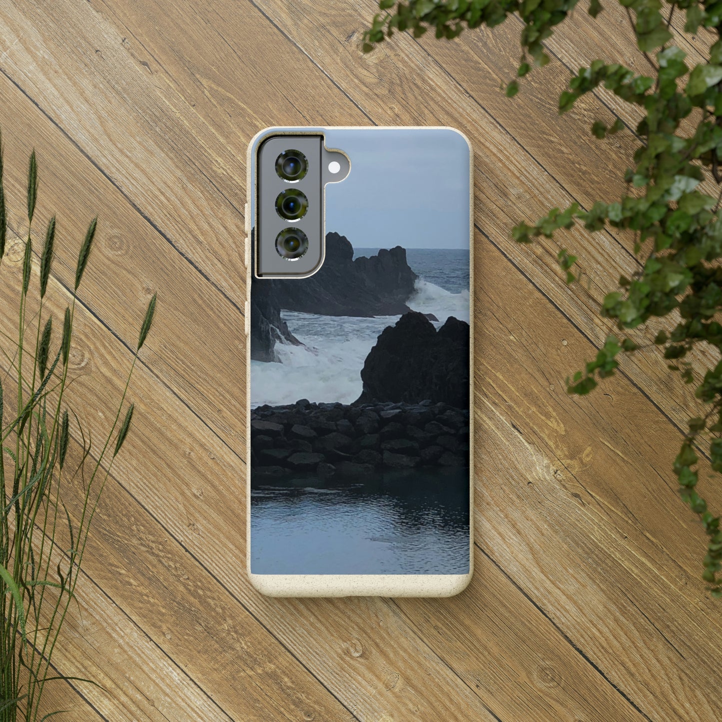 Bio-Cases, Atlantic Ocean
