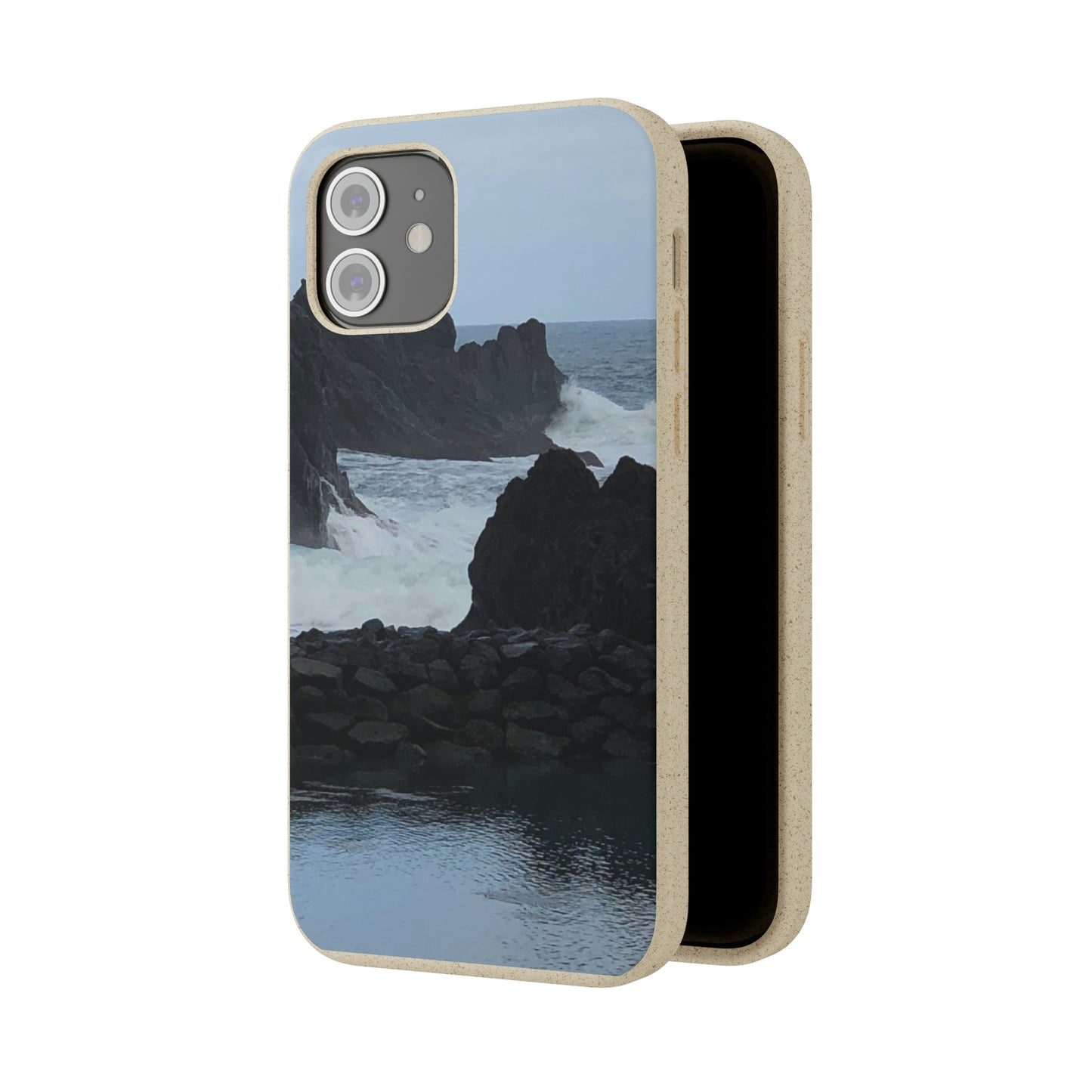 Bio-Cases, Atlantic Ocean