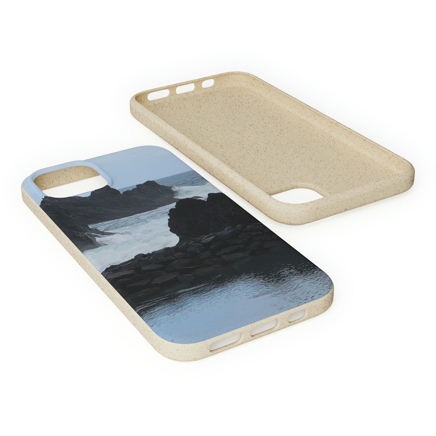 Bio-Cases, Atlantic Ocean