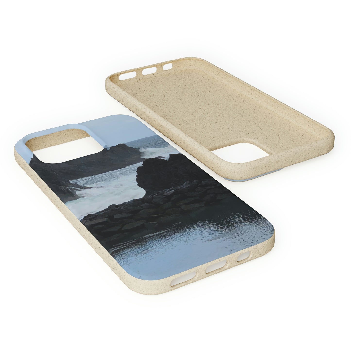 Bio-Cases, Atlantic Ocean