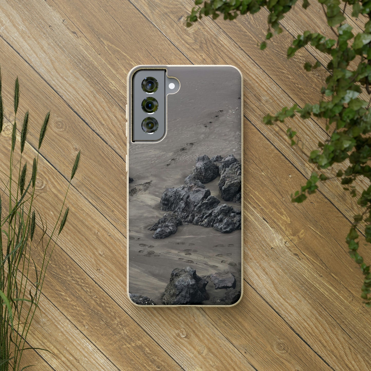 Bio-Cases, Beach Tracks