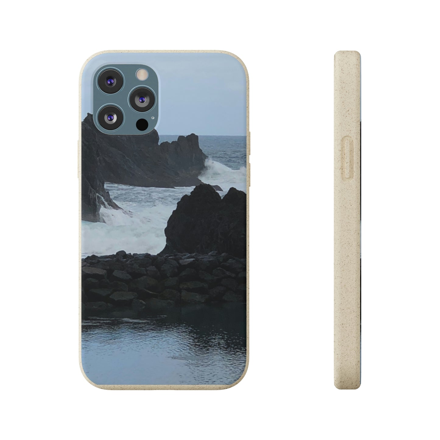 Bio-Cases, Atlantic Ocean