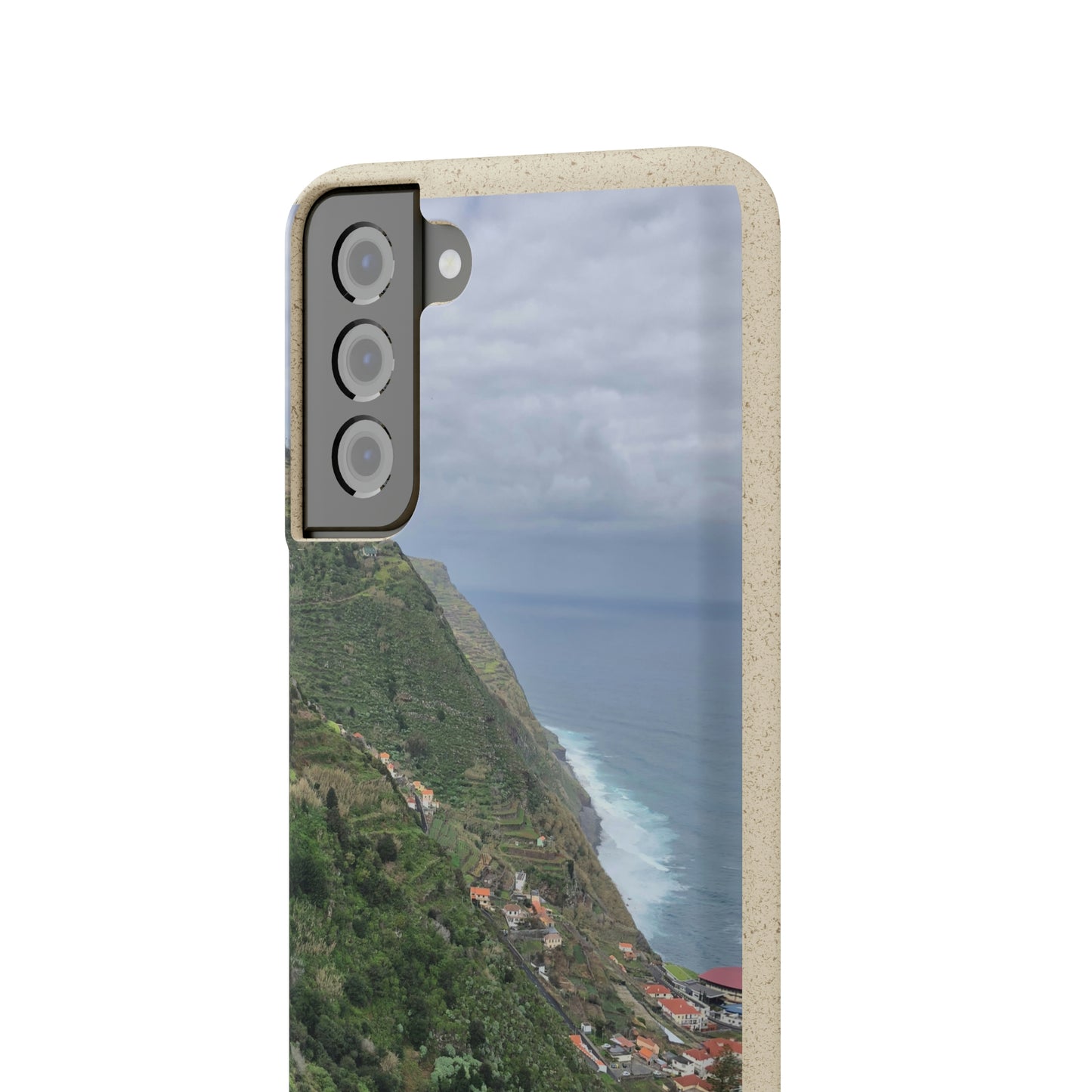 Bio-Cases, Atlantic Ocean Coast