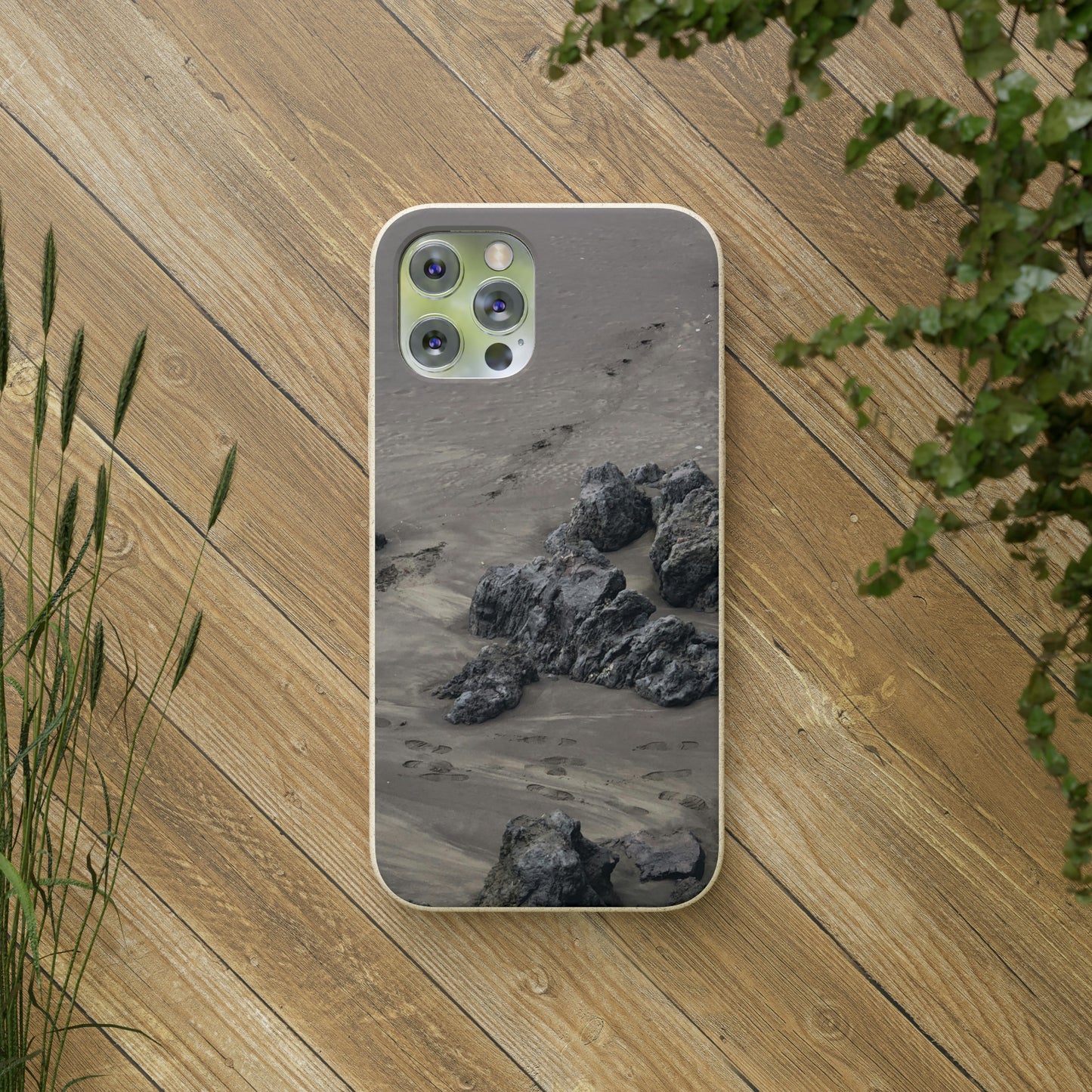 Bio-Cases, Beach Tracks