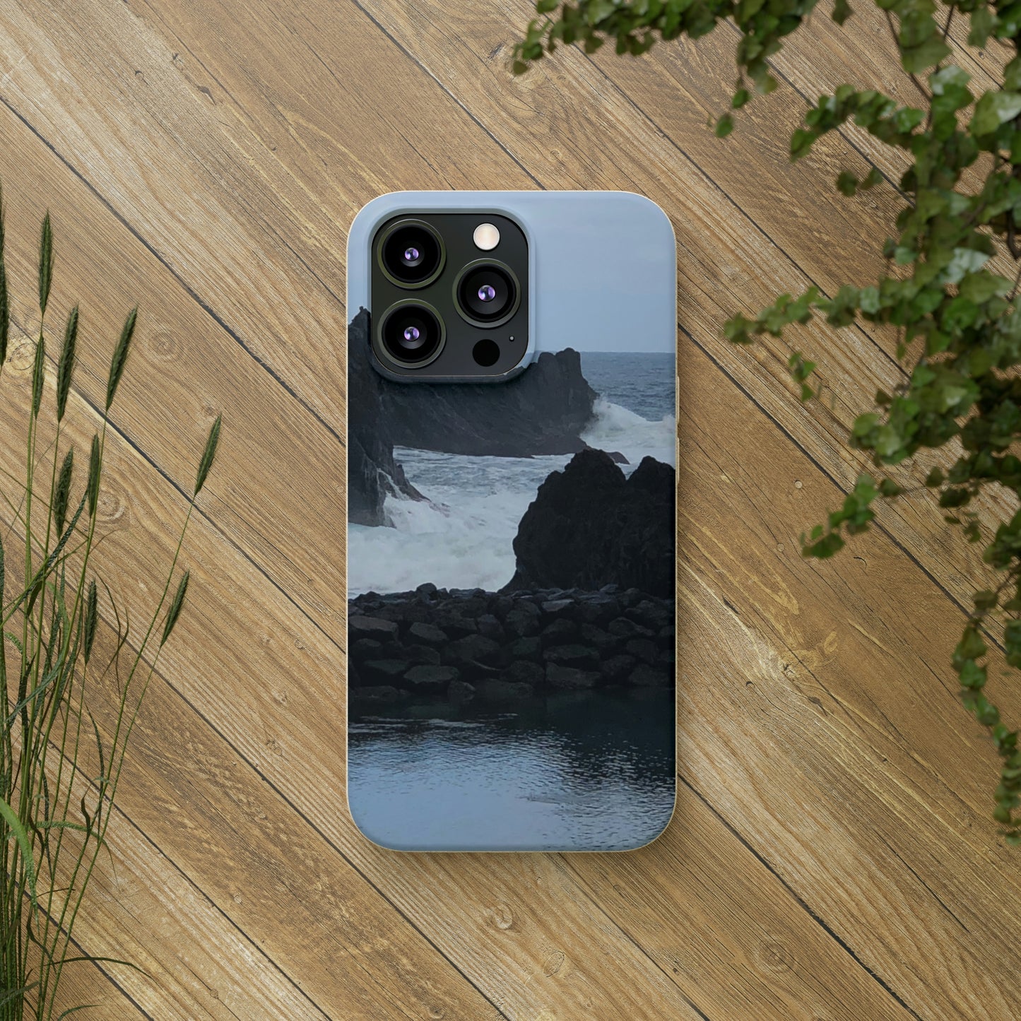 Bio-Cases, Atlantic Ocean