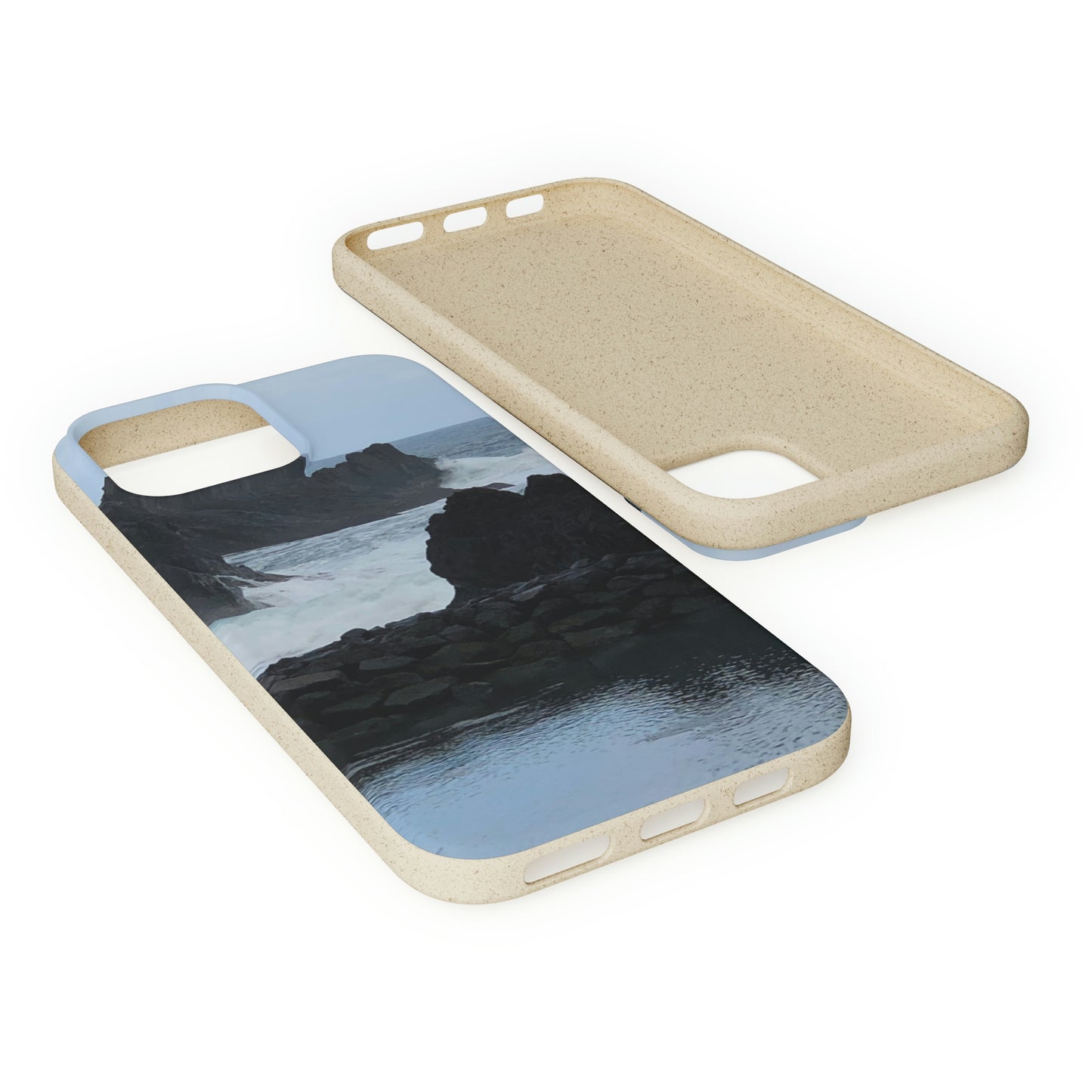 Bio-Cases, Atlantic Ocean