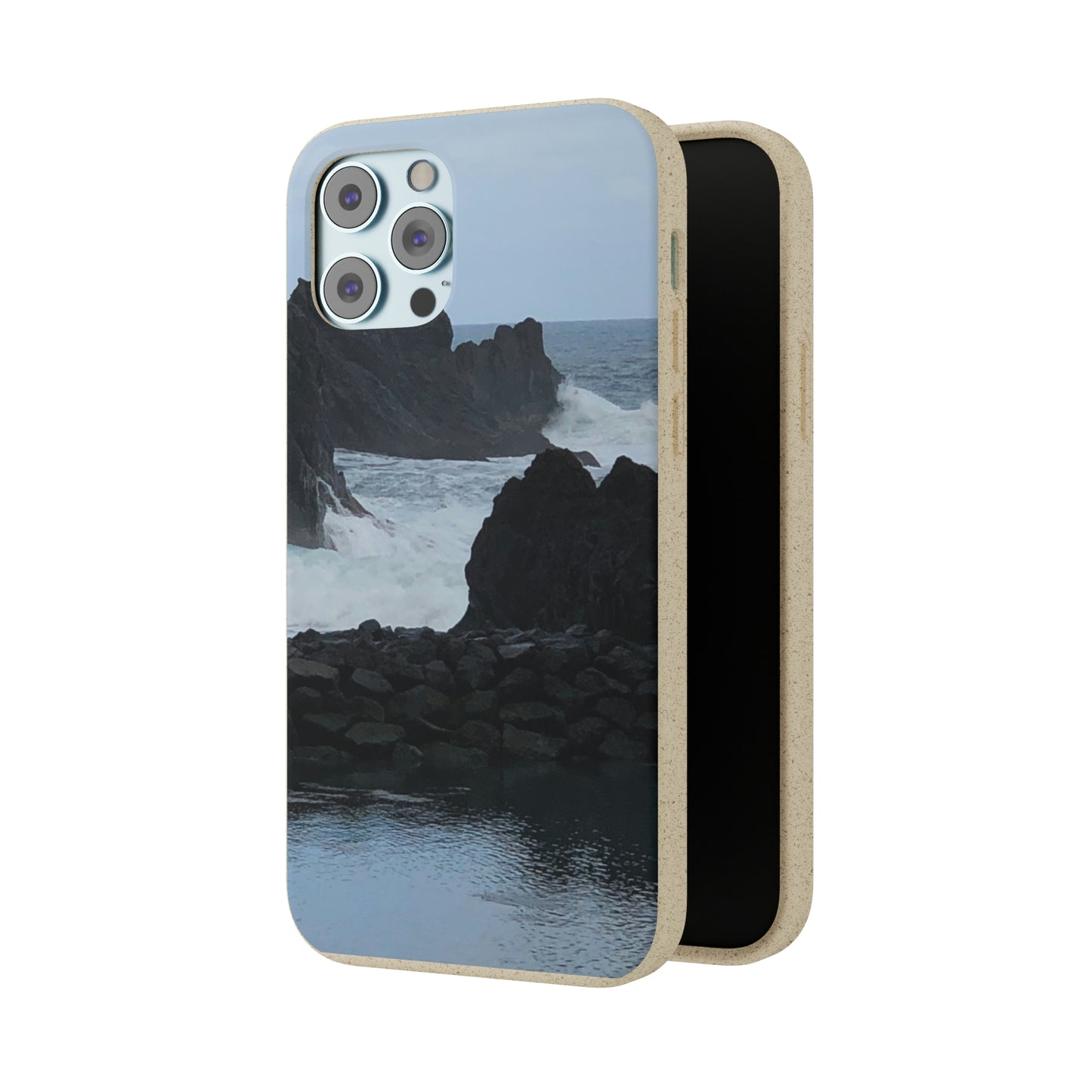 Bio-Cases, Atlantic Ocean