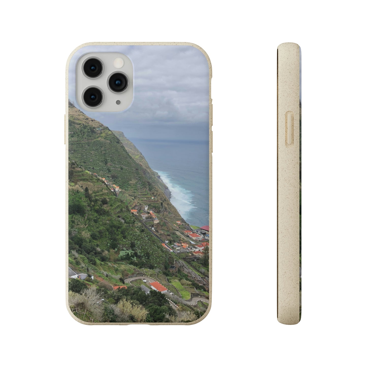 Bio-Cases, Atlantic Ocean Coast