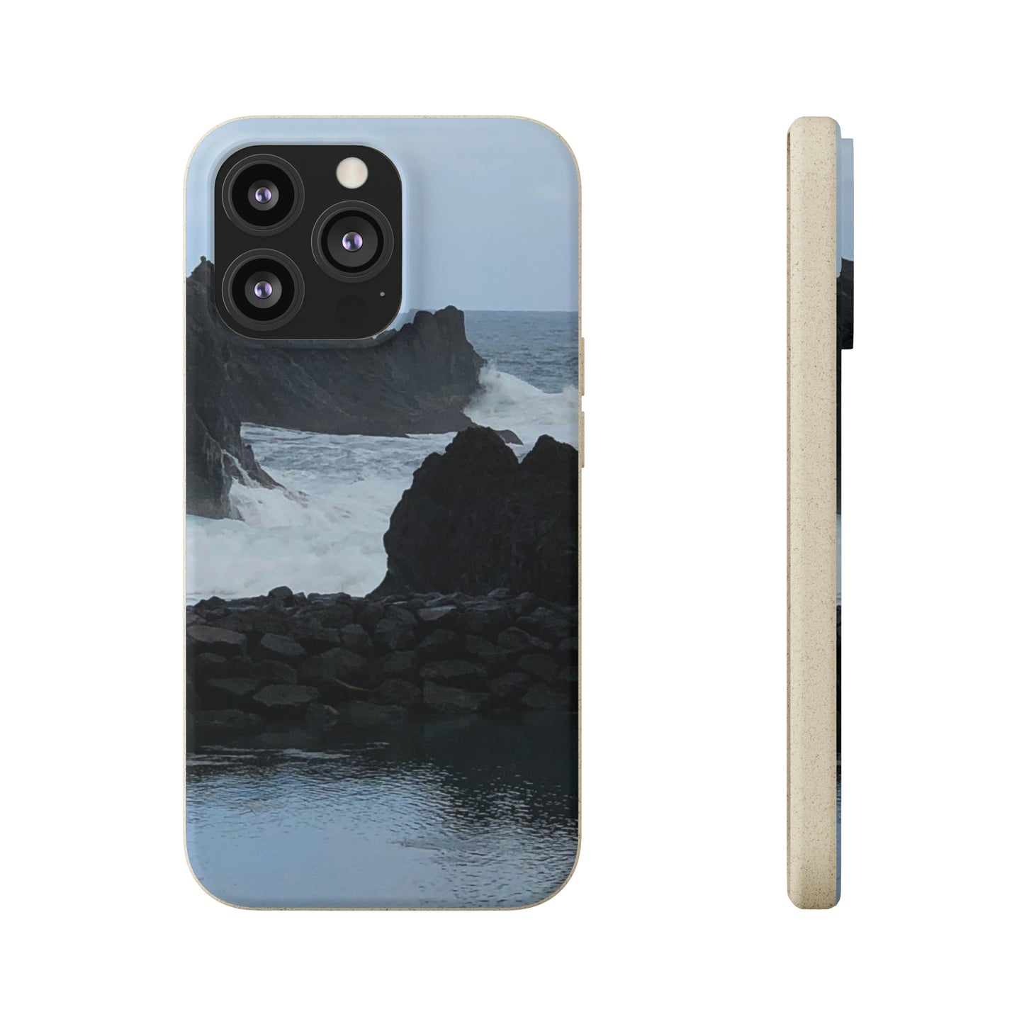 Bio-Cases, Atlantic Ocean