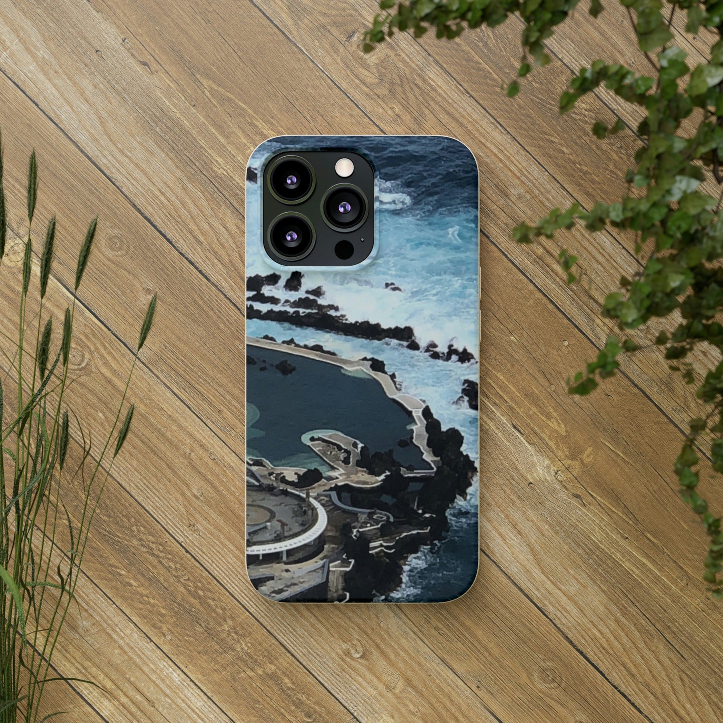 Bio-Cases, Volcanic Pools-Madeira Portugal