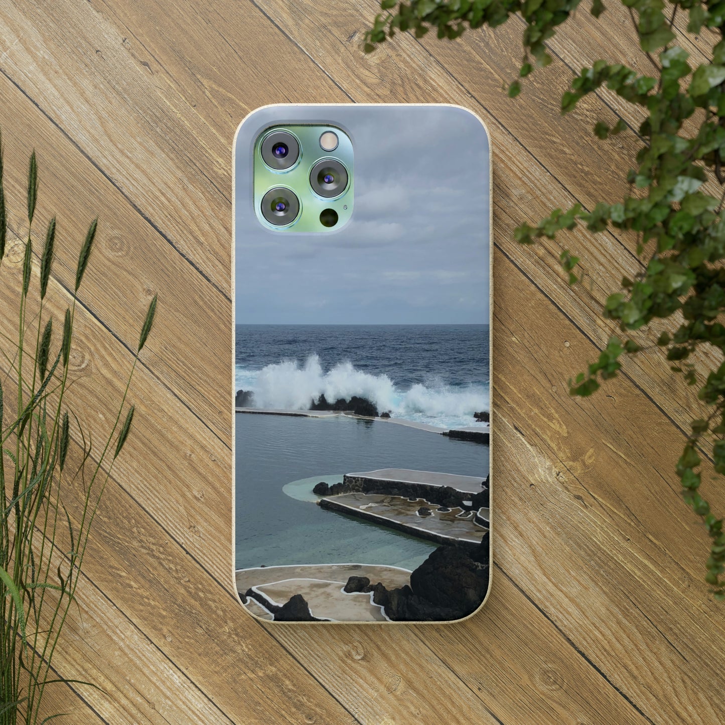 Bio-Cases, Volcanic Pools2-Madeira Portugal