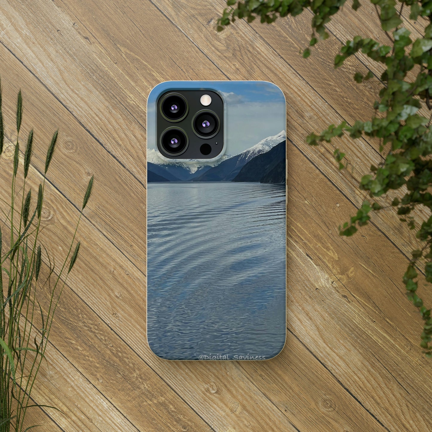 Bio-Cases, Icy Strait Alaska