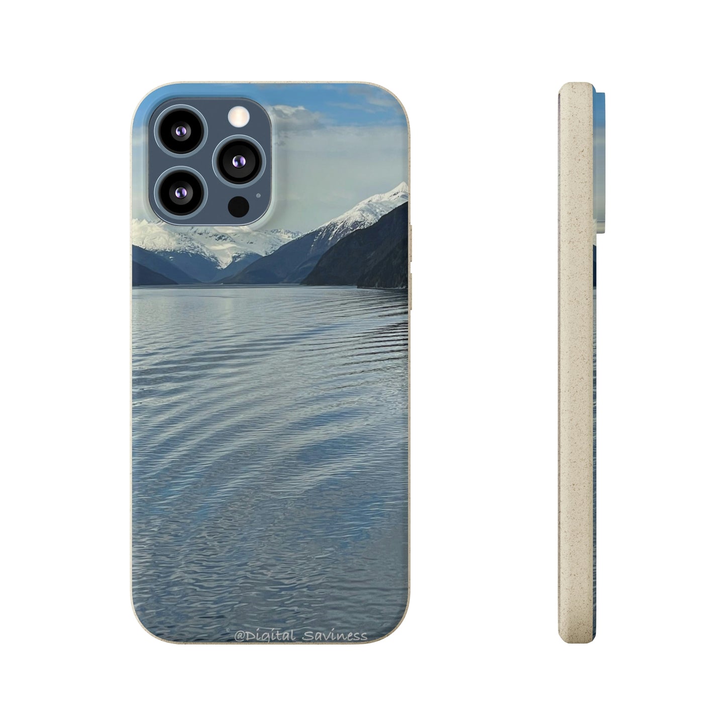 Bio-Cases, Icy Strait Alaska