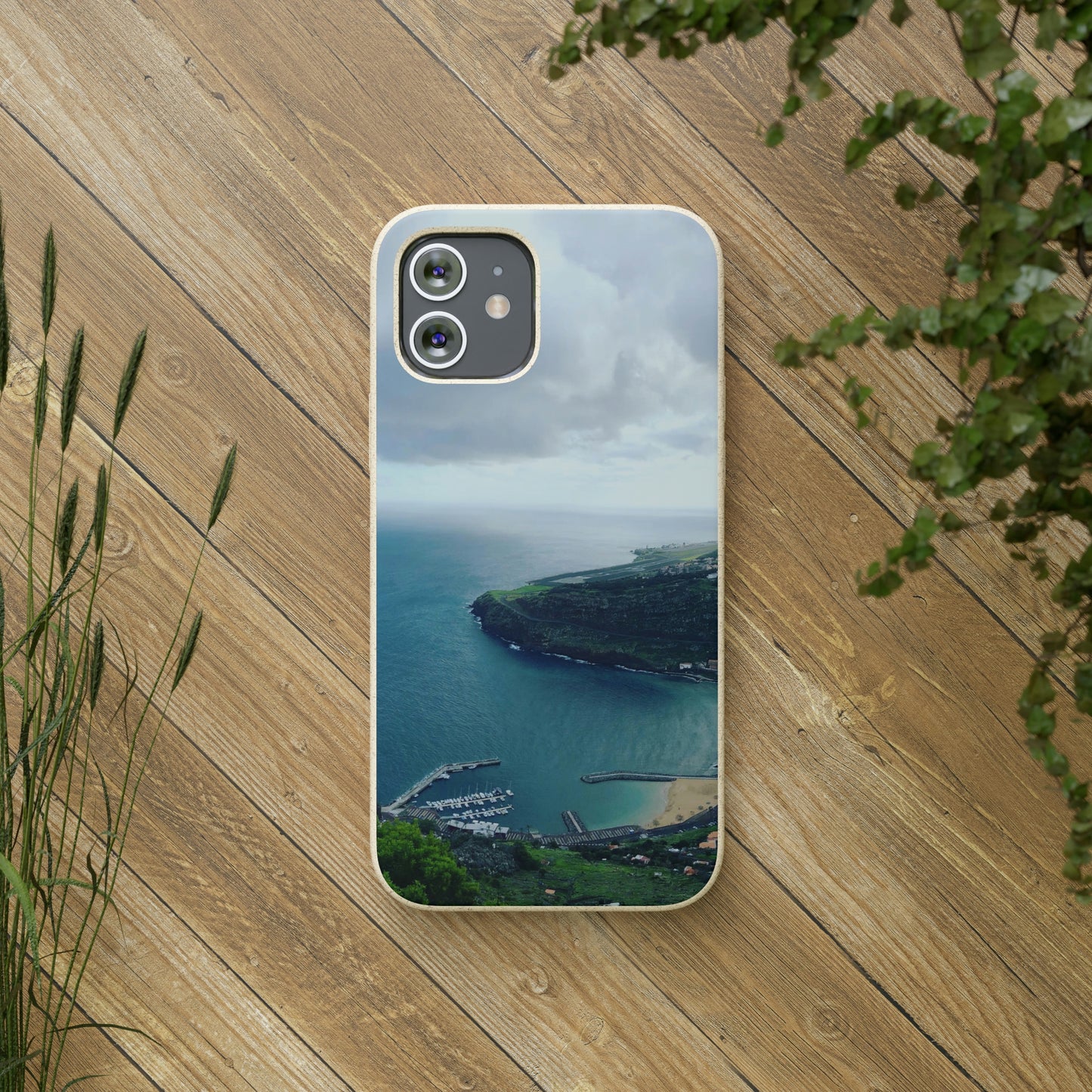 Bio-Cases, Madeira Portugal