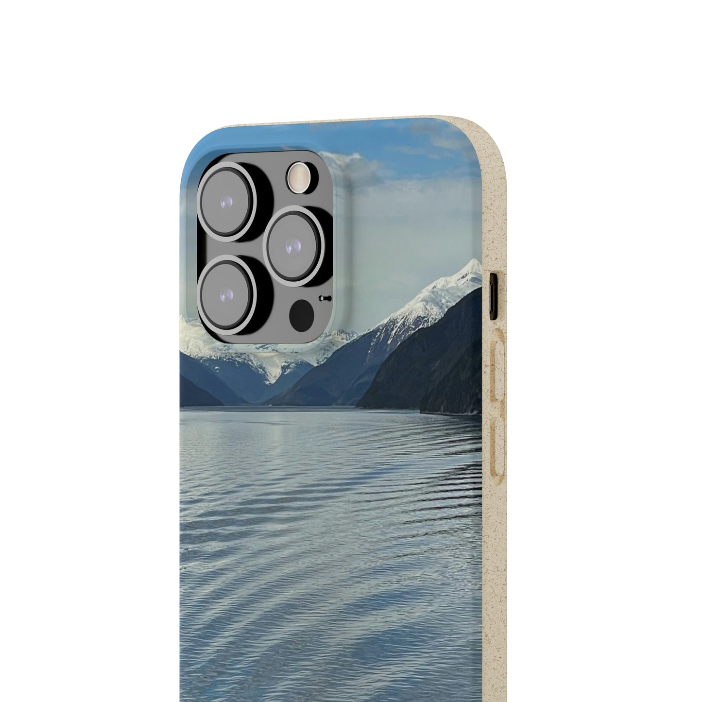 Bio-Cases, Icy Strait Alaska