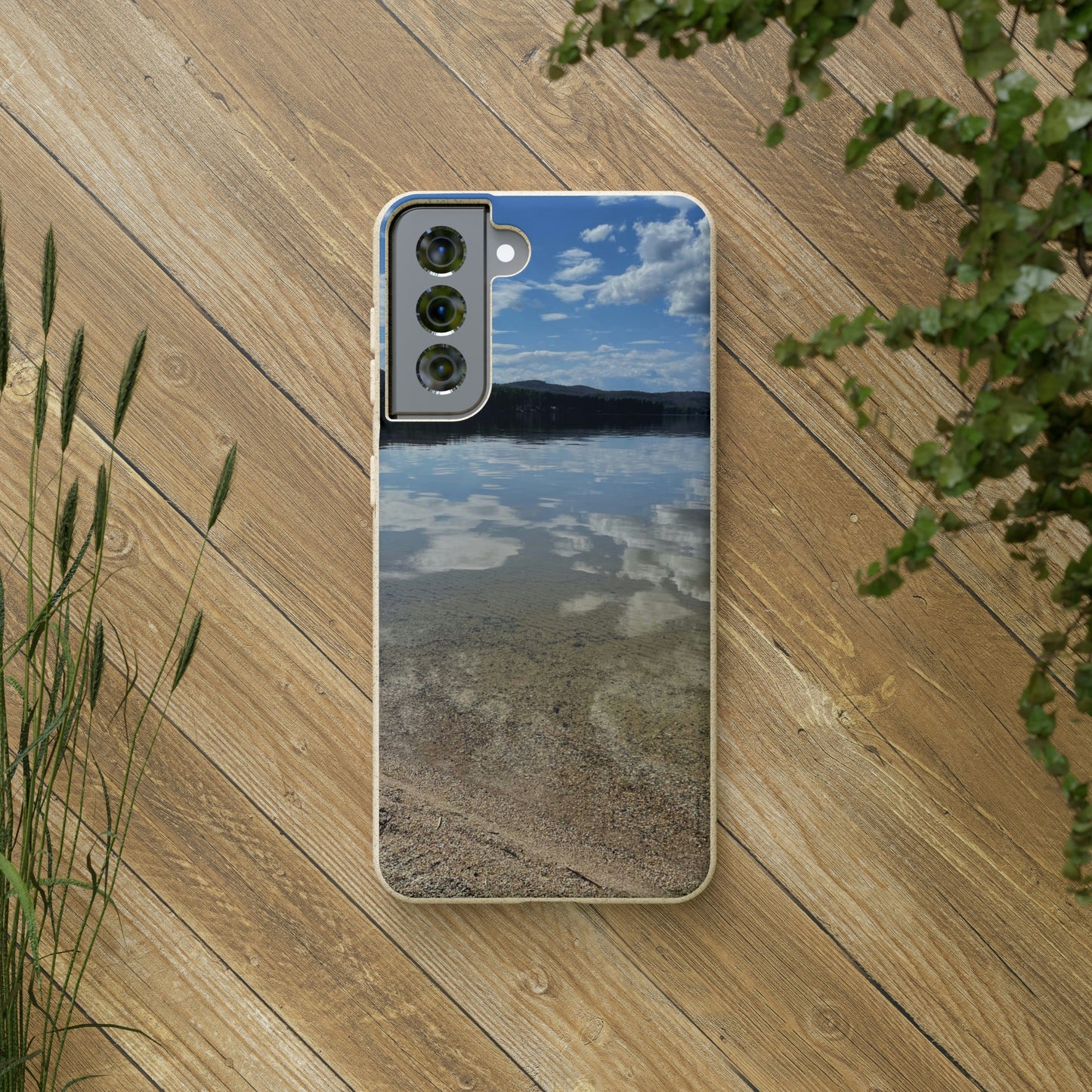 Bio-Cases, Lake Reflections