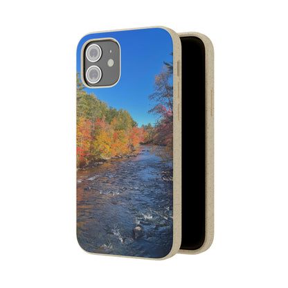 Bio-Cases, Fall Foliage NH