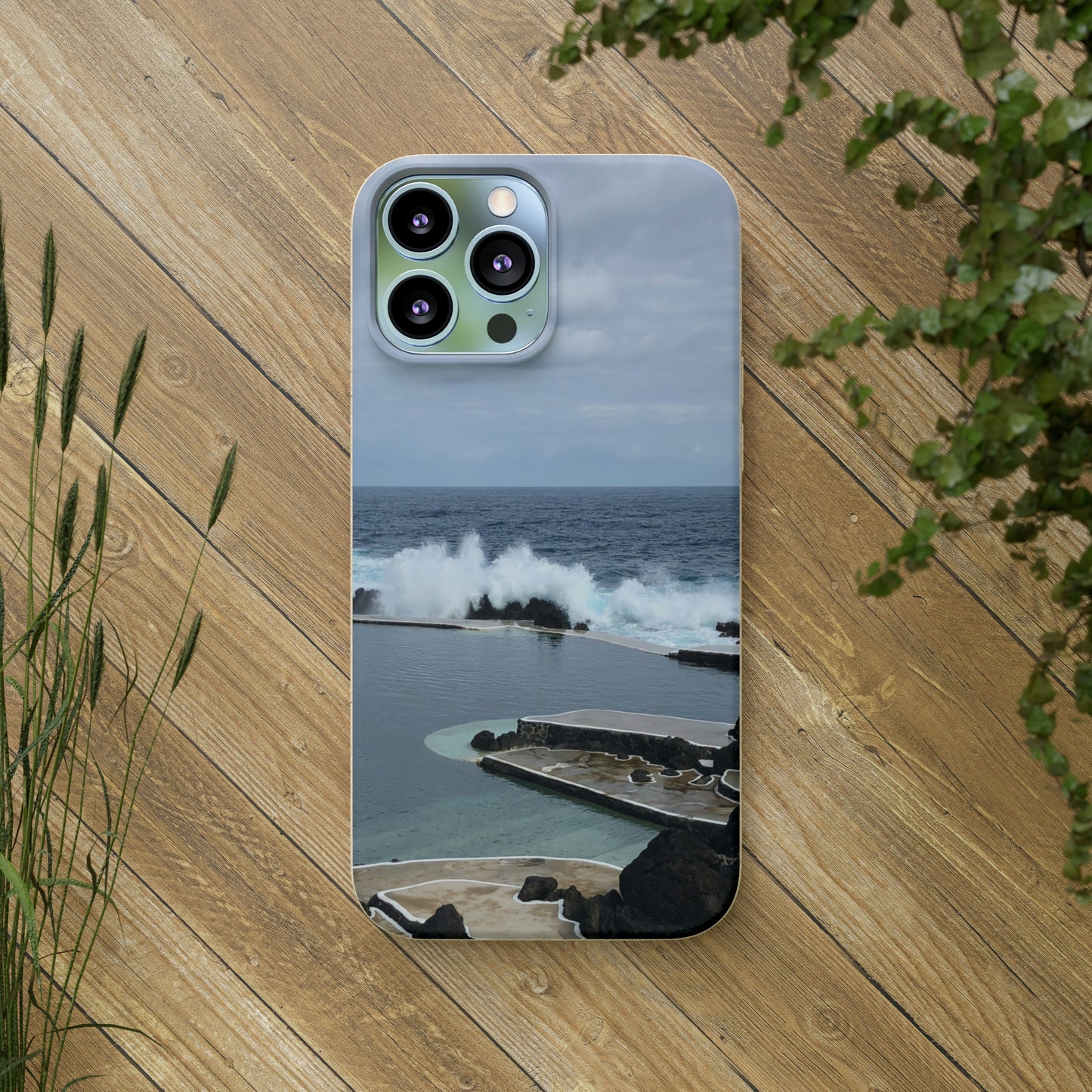 Bio-Cases, Volcanic Pools2-Madeira Portugal