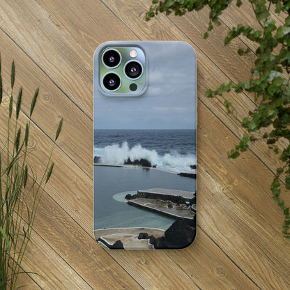 Bio-Cases, Volcanic Pools2-Madeira Portugal