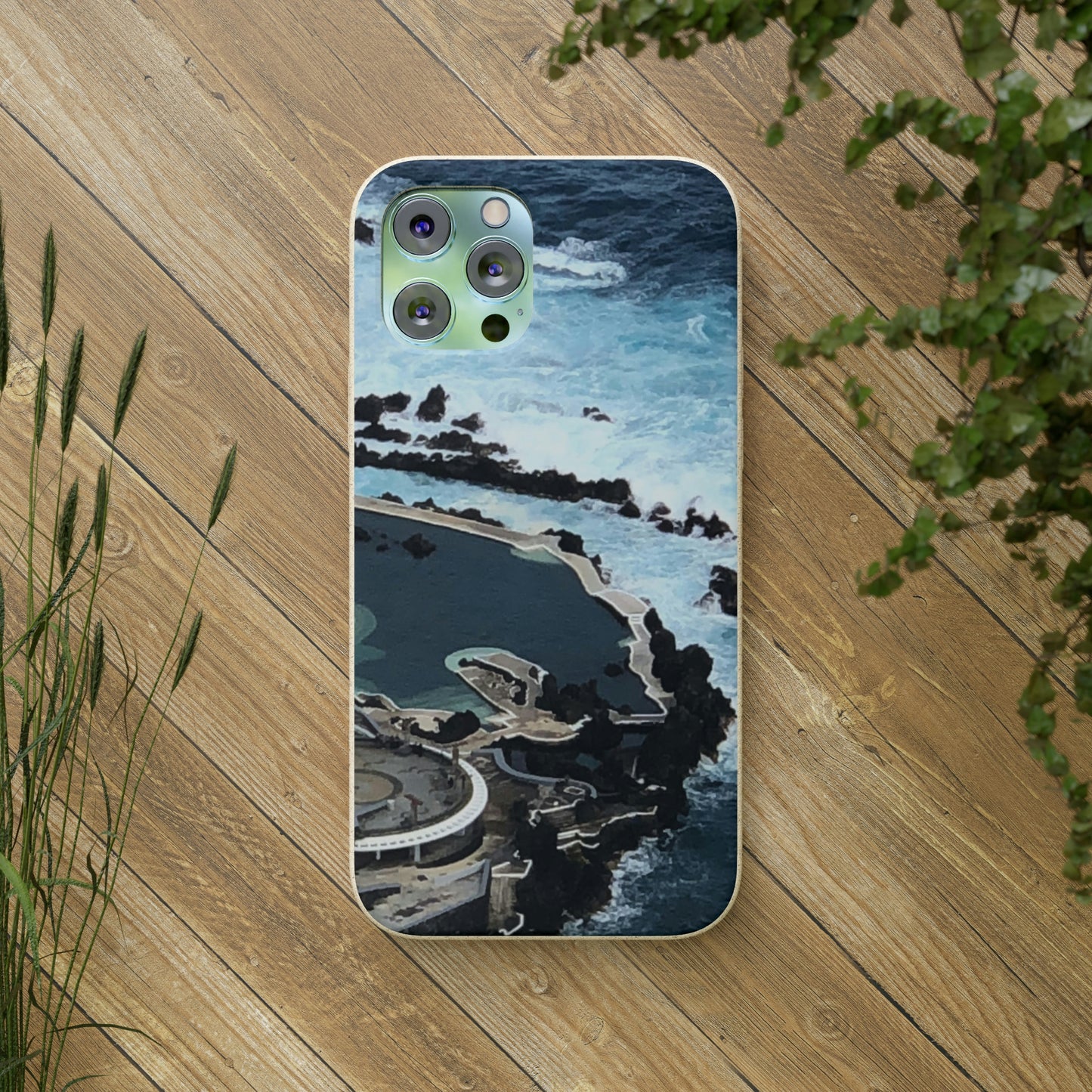 Bio-Cases, Volcanic Pools-Madeira Portugal