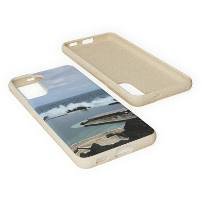 Bio-Cases, Volcanic Pools2-Madeira Portugal