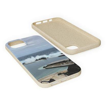 Bio-Cases, Volcanic Pools2-Madeira Portugal