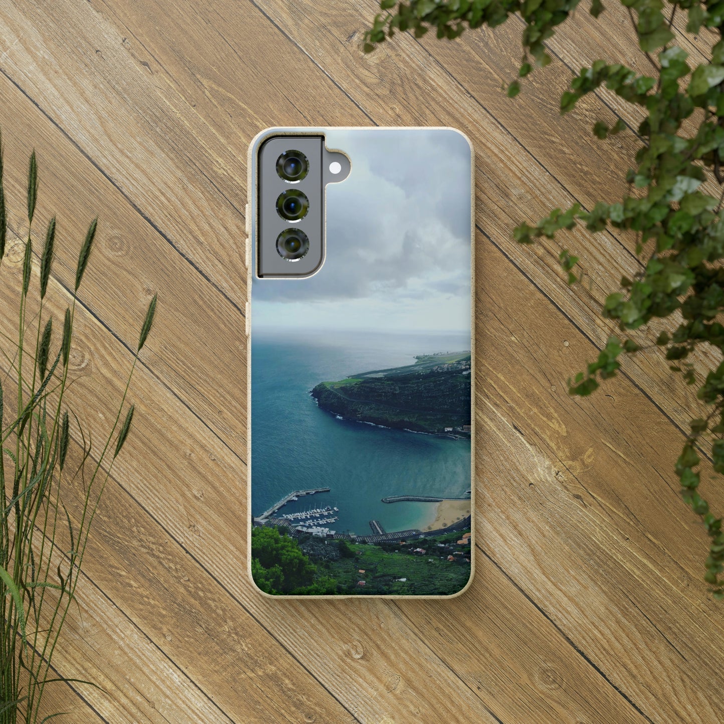 Bio-Cases, Madeira Portugal