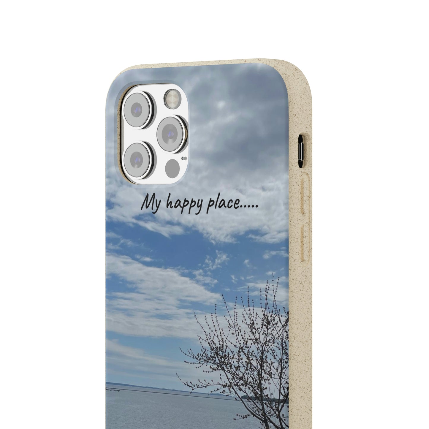Bio-Cases, Bench by the Sea
