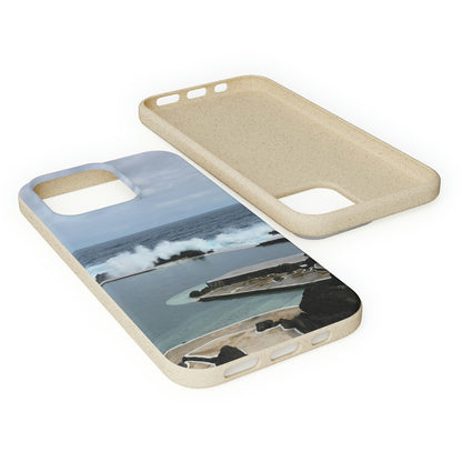 Bio-Cases, Volcanic Pools2-Madeira Portugal