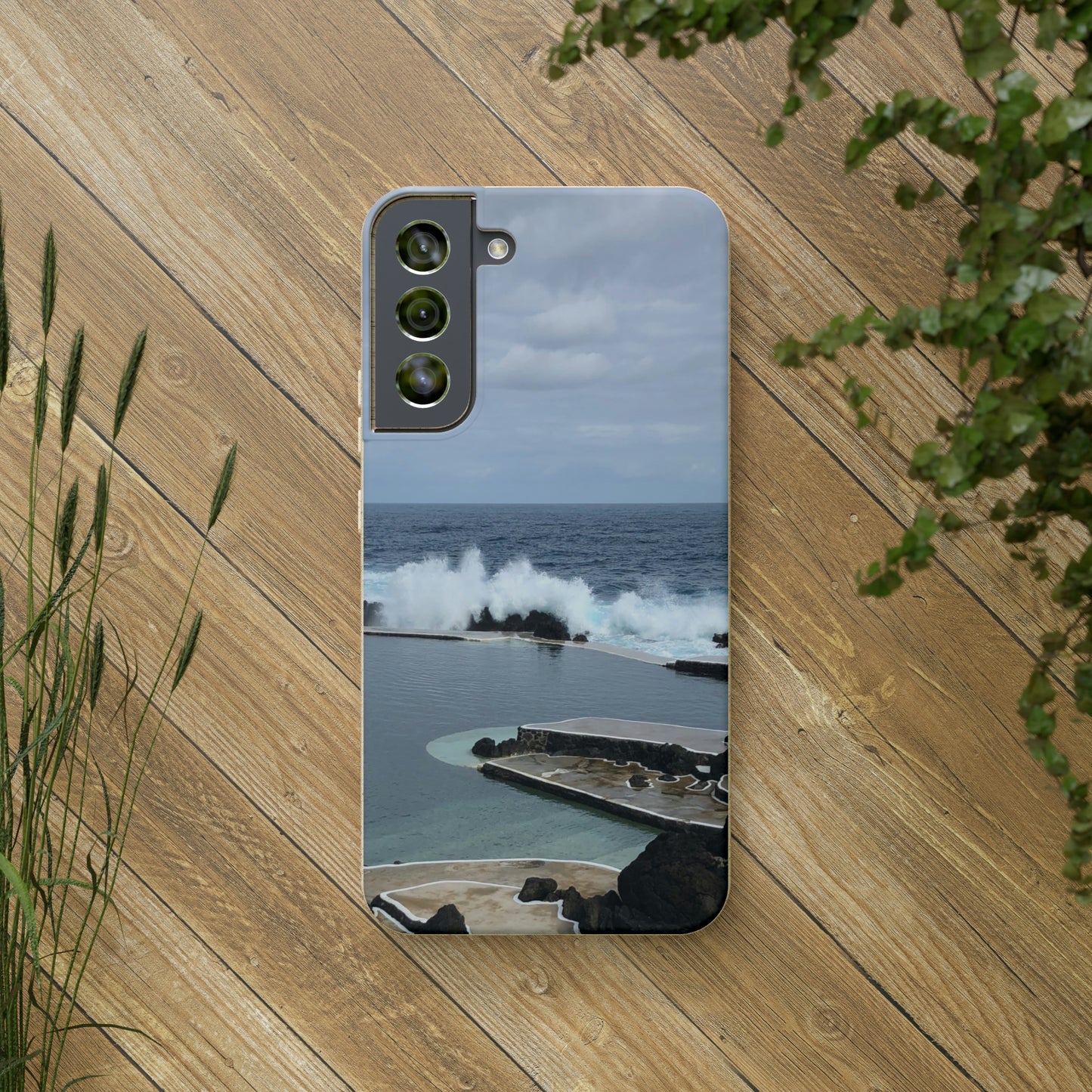 Bio-Cases, Volcanic Pools2-Madeira Portugal