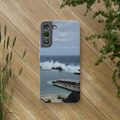 Bio-Cases, Volcanic Pools2-Madeira Portugal