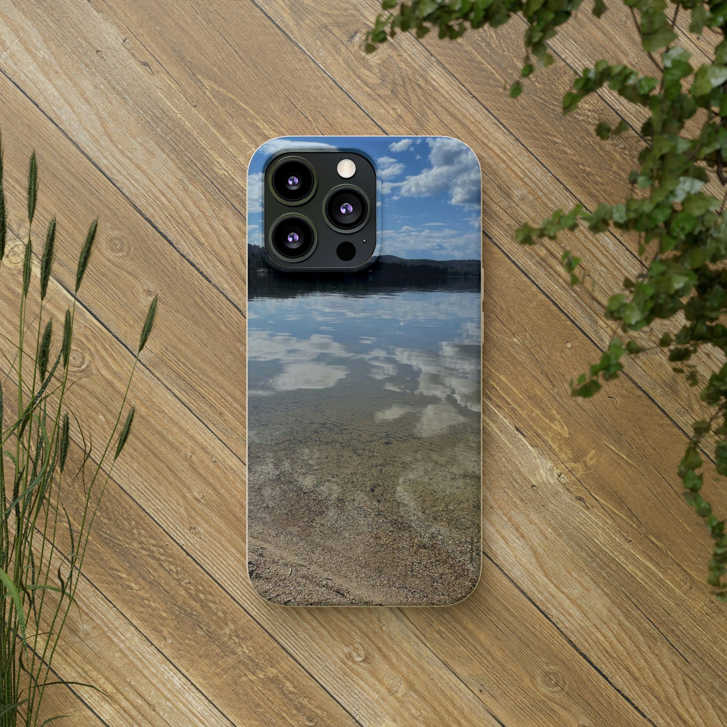 Bio-Cases, Lake Reflections