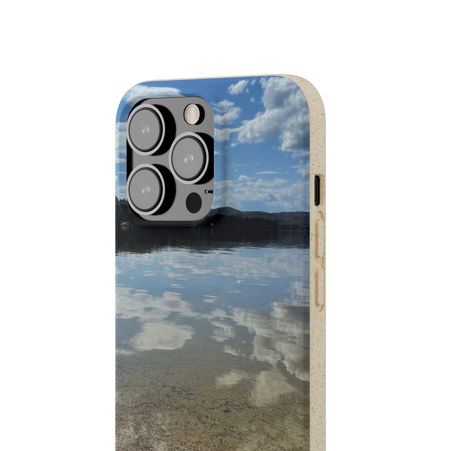 Bio-Cases, Lake Reflections