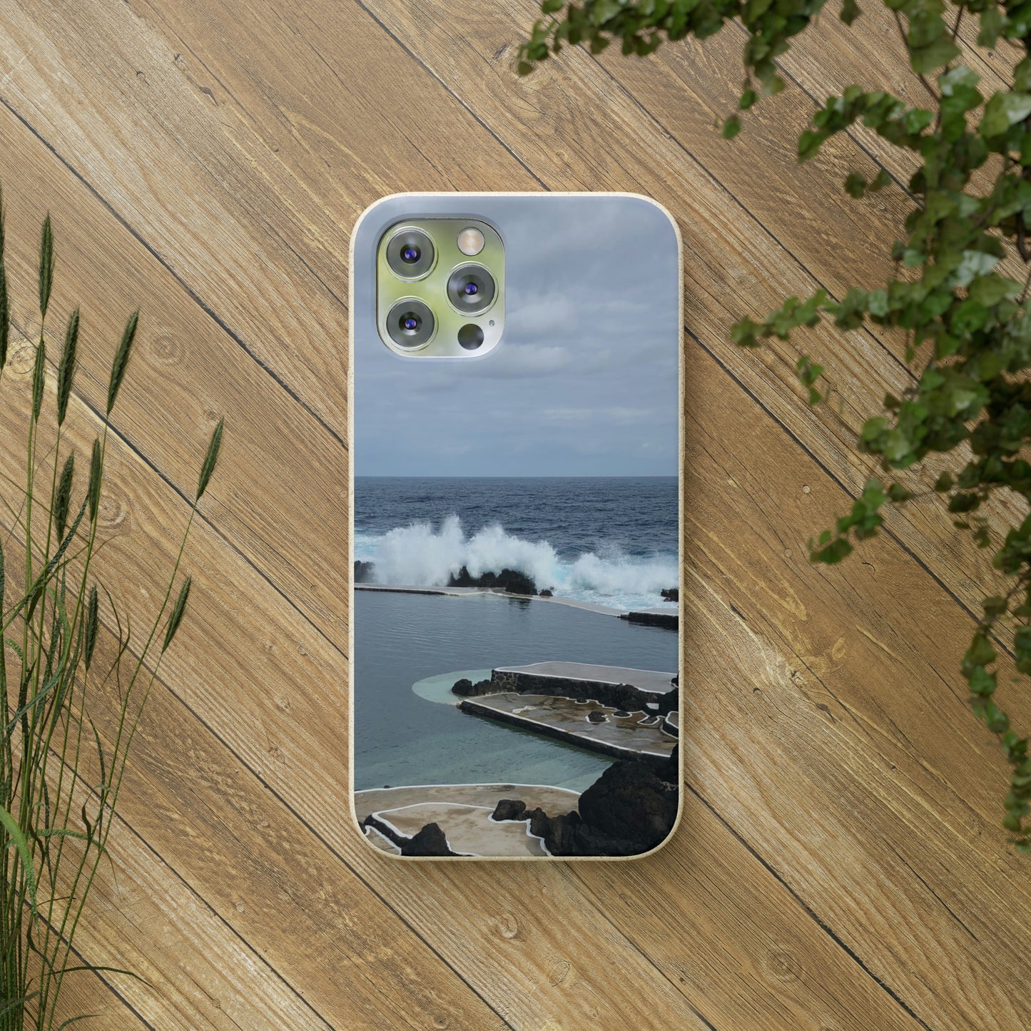 Bio-Cases, Volcanic Pools2-Madeira Portugal