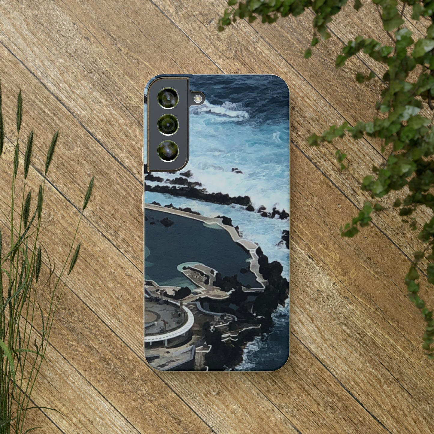 Bio-Cases, Volcanic Pools-Madeira Portugal