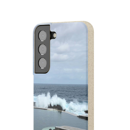 Bio-Cases, Volcanic Pools2-Madeira Portugal