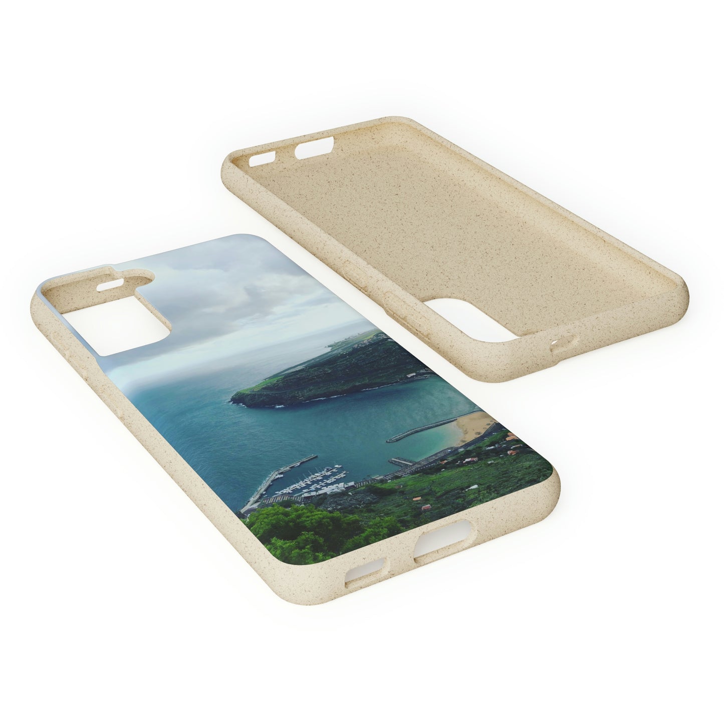 Bio-Cases, Madeira Portugal