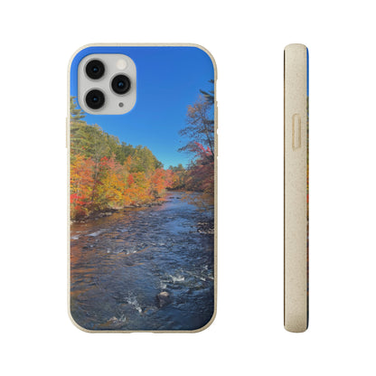 Bio-Cases, Fall Foliage NH