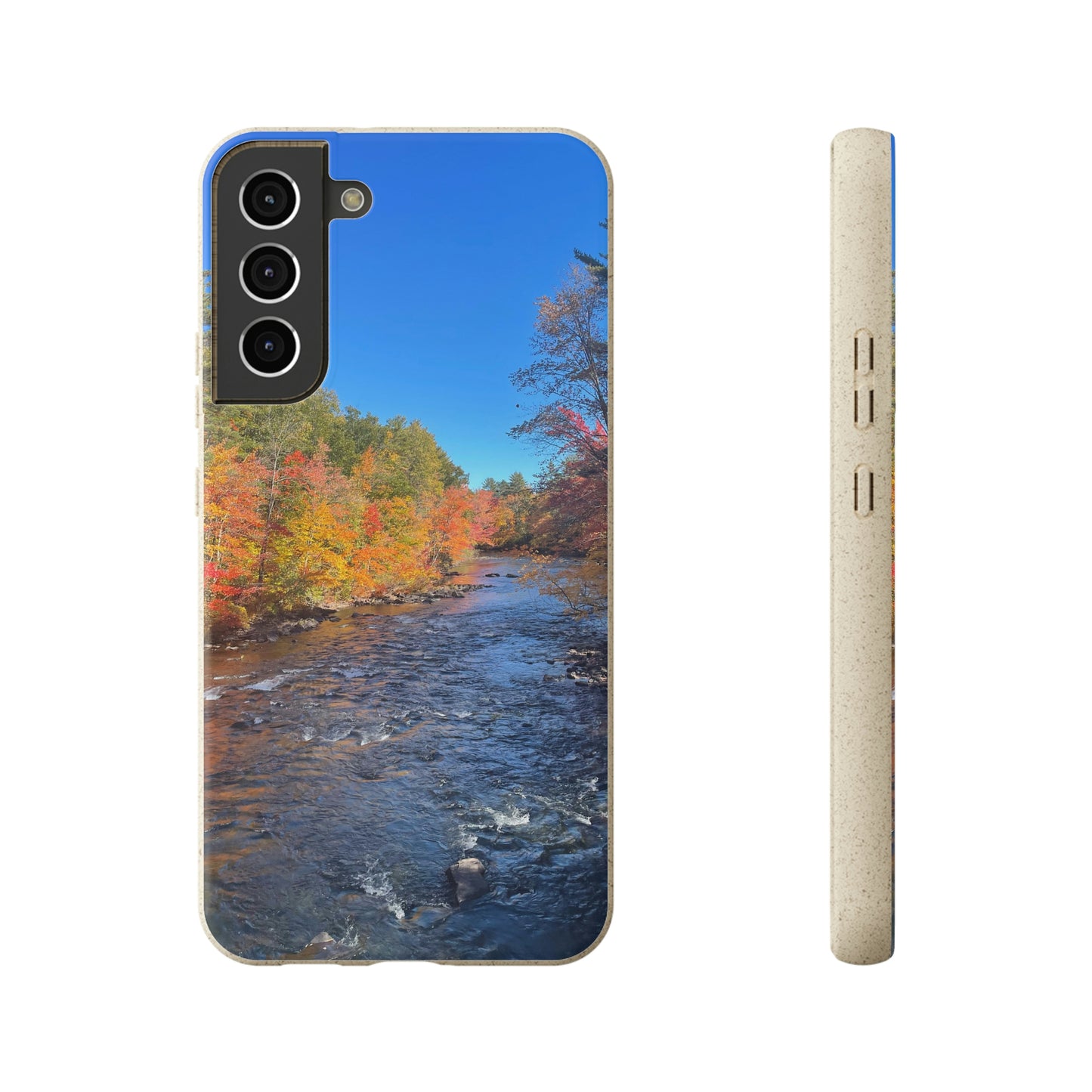 Bio-Cases, Fall Foliage NH