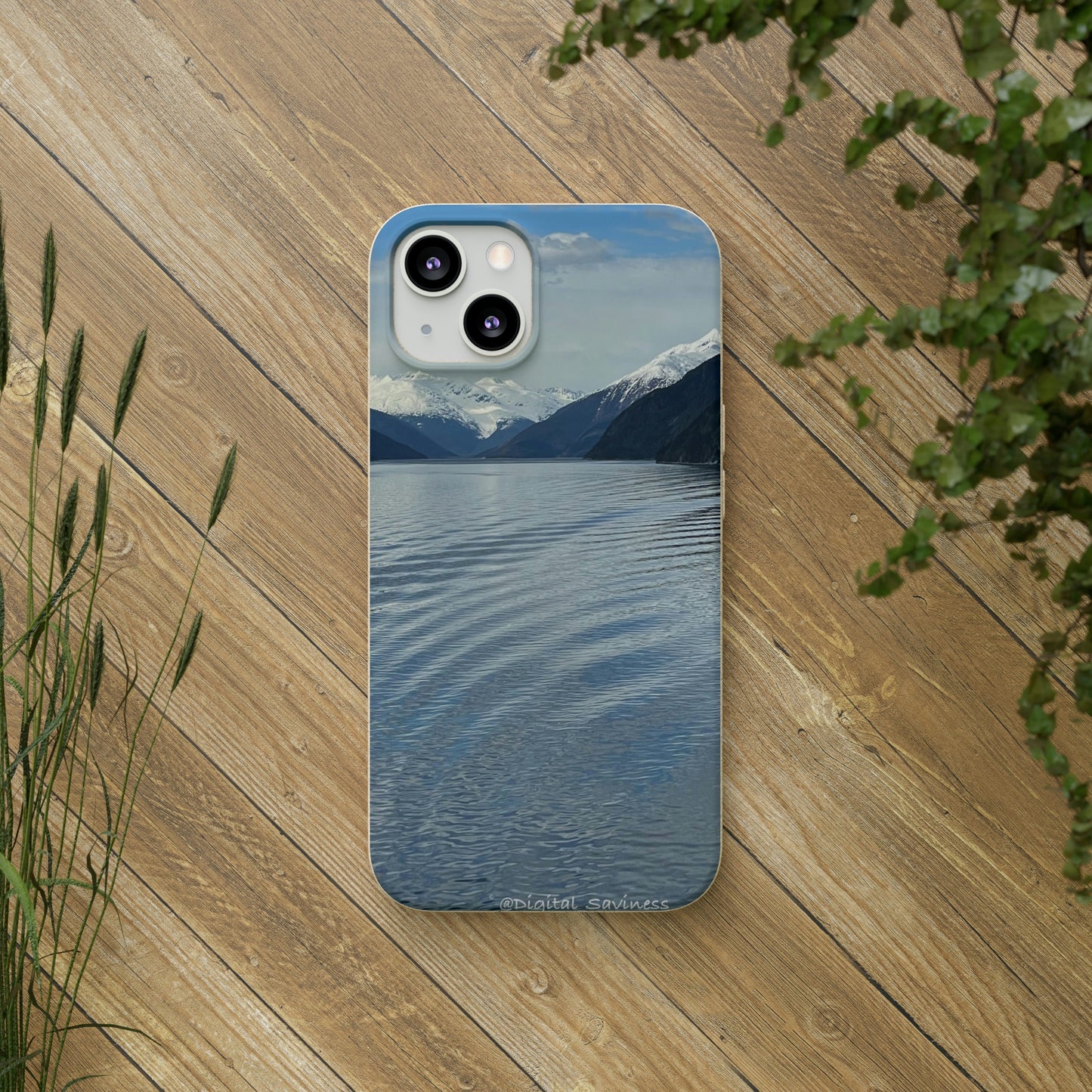 Bio-Cases, Icy Strait Alaska