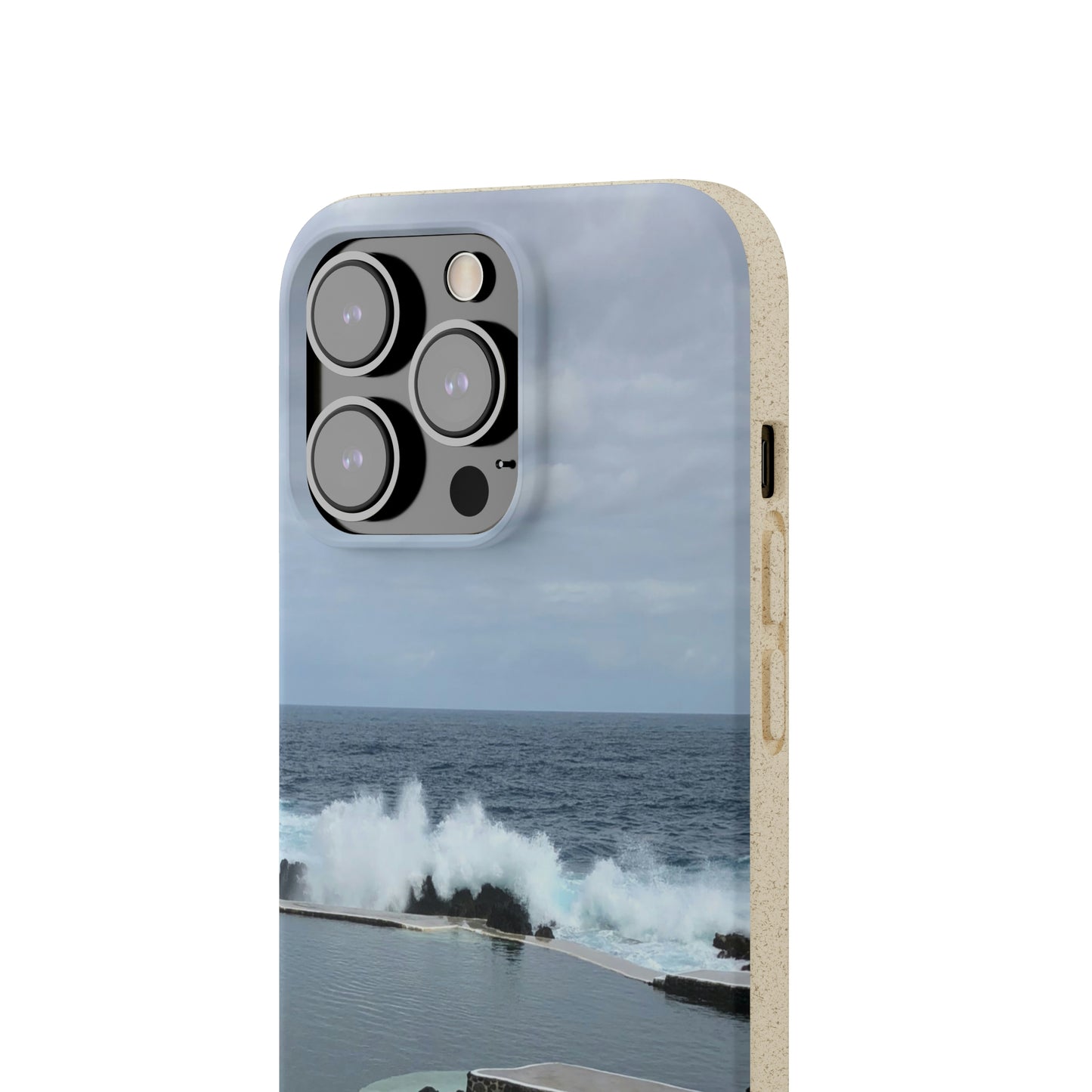 Bio-Cases, Volcanic Pools2-Madeira Portugal