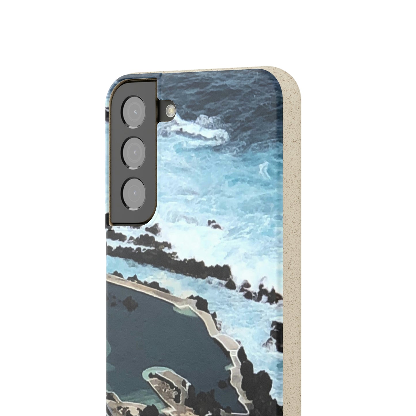 Bio-Cases, Volcanic Pools-Madeira Portugal