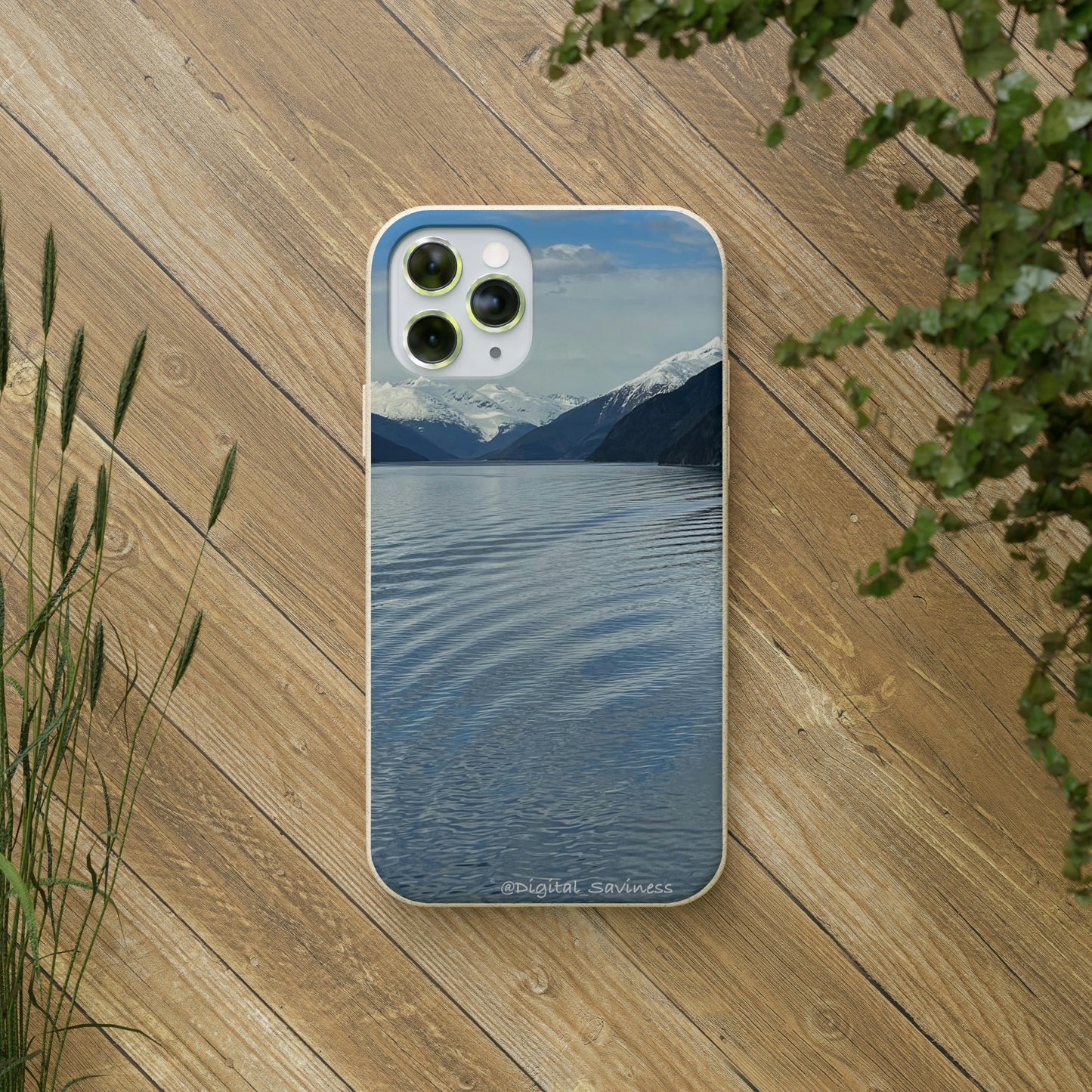 Bio-Cases, Icy Strait Alaska